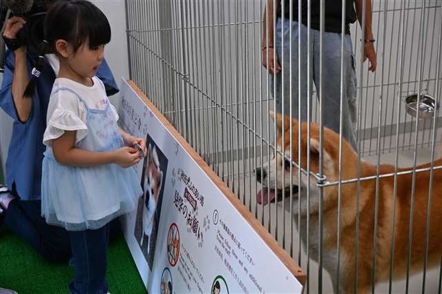 秋田犬ふれあい処ｉｎ千秋公園