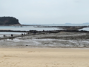 26th Muchangpo Mysterious Sea Route Festival