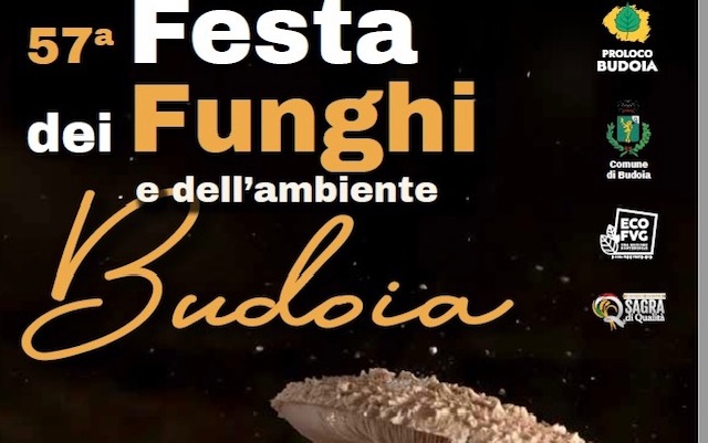 Festa dei Funghi e dell’Ambiente