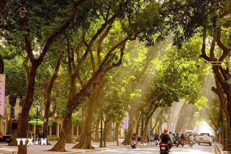 Festival Thu Hà Nội 2026