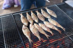 Boseong Gizzard Shad Festival