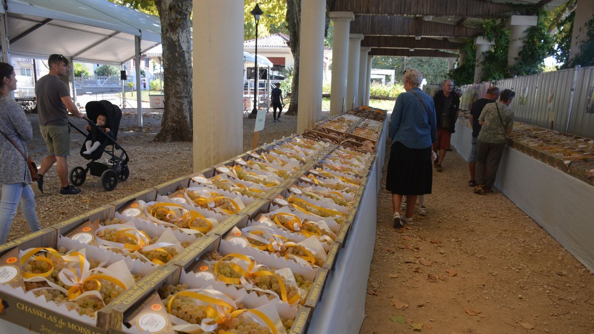 Fête des fruits et des saveurs