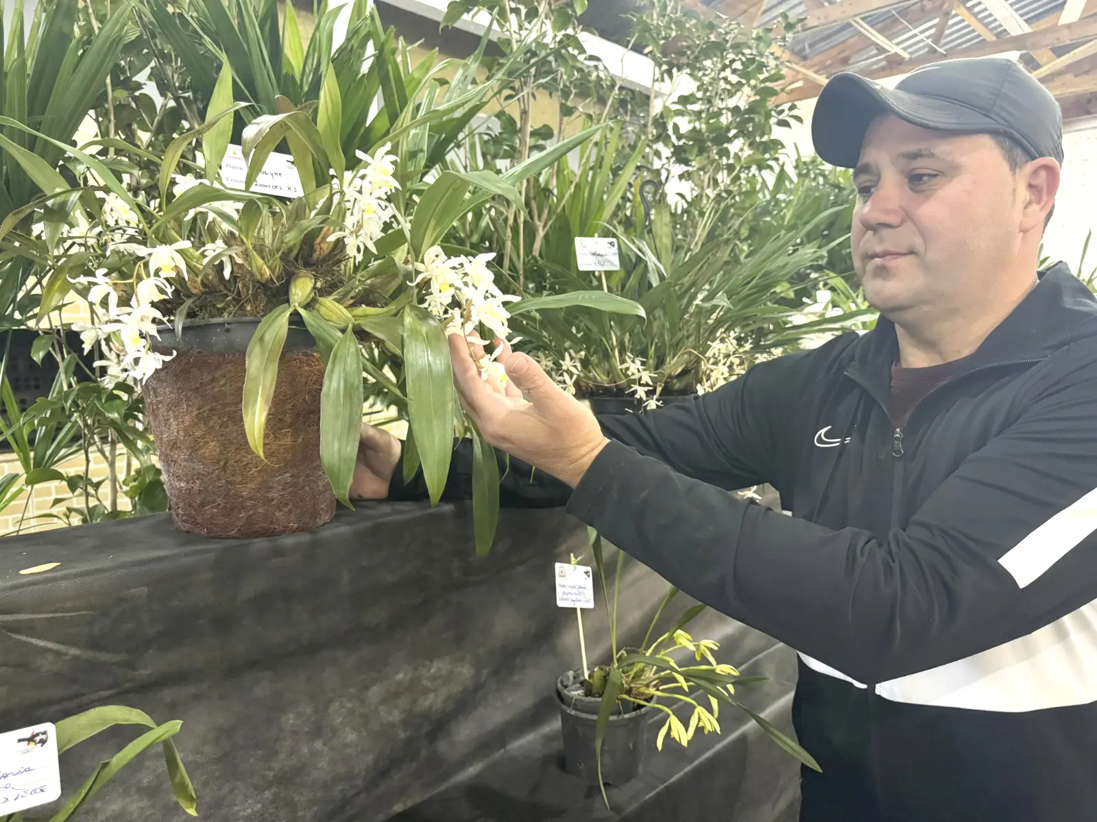 21ª Exposição de Orquídeas, Cactos, Bromélias, Bonsais, Plantas Ornamentais e Suculentas