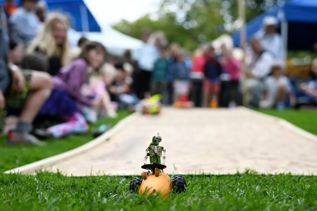 Little Fernwood Harvest Fun Fair