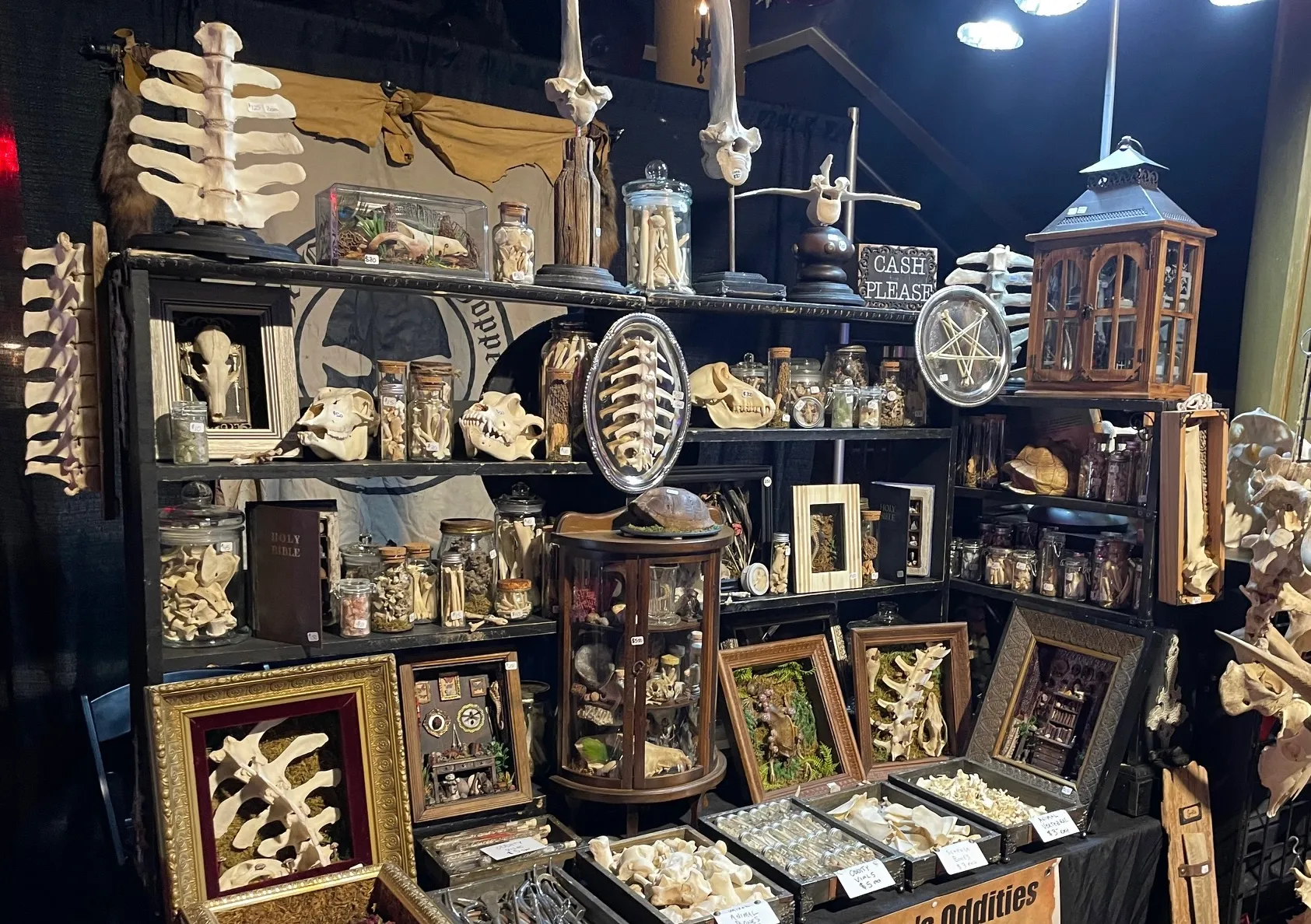 The Oddities Flea Market