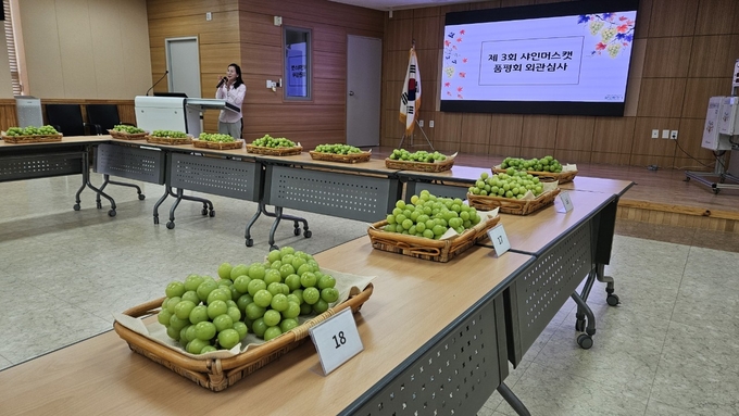 제3회 화성특례시 샤인머스캣 품평전시회
