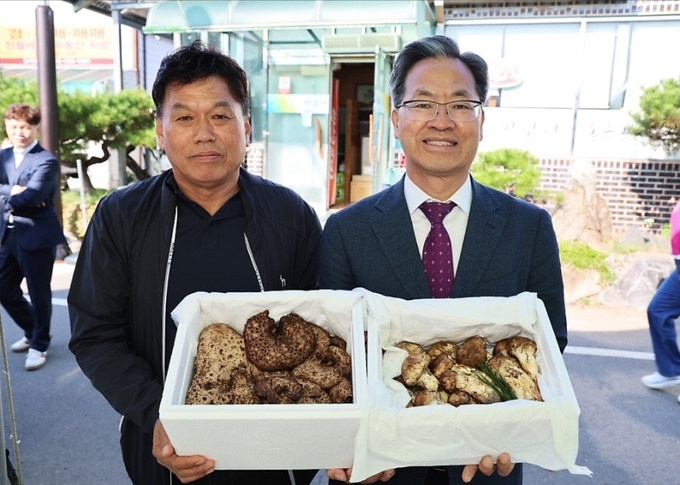 수비능이버섯축제