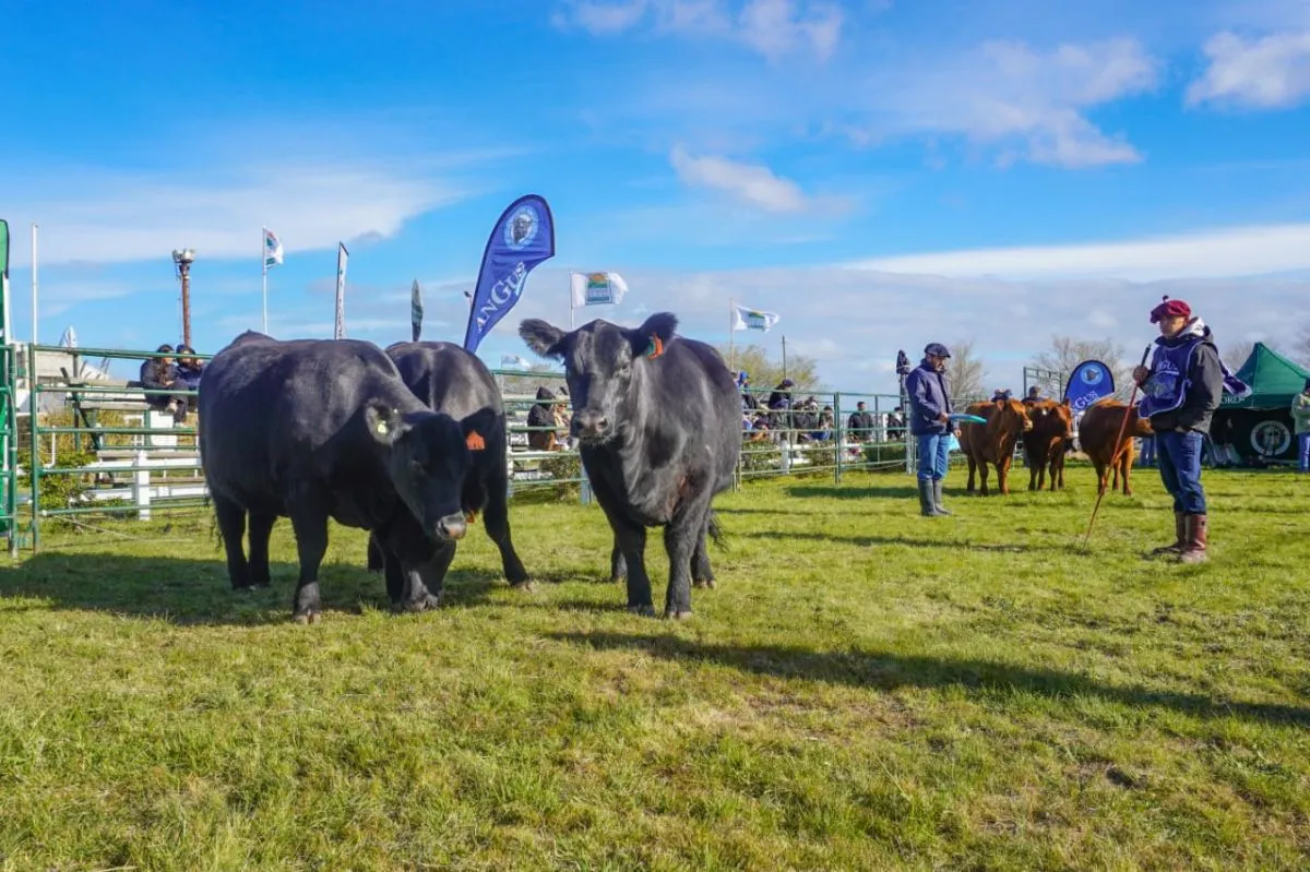30° Exposición Rural de la Comarca
