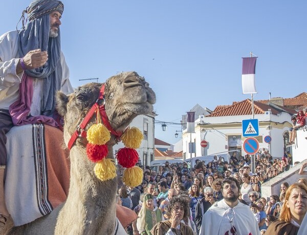Feira Medieval de Palmela: D. Afonso IV e a Ordem de Santiago (1340-1348)