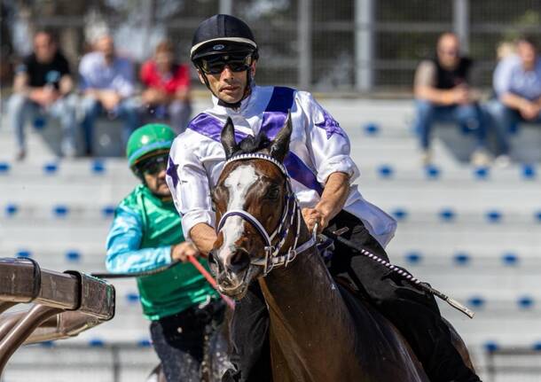 Palio di Legnano