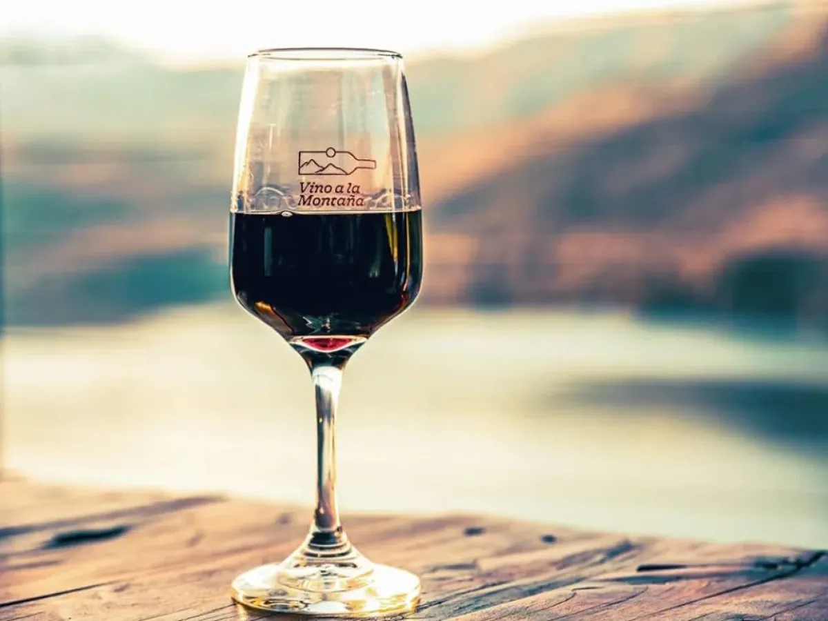 Vino a la Montaña