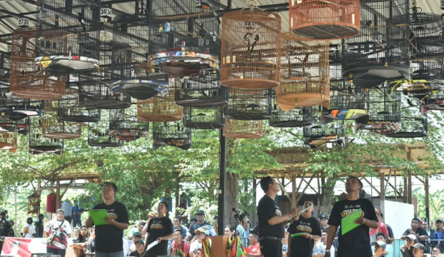 Festival Burung Berkicau Piala Bupati Pasuruan 2026