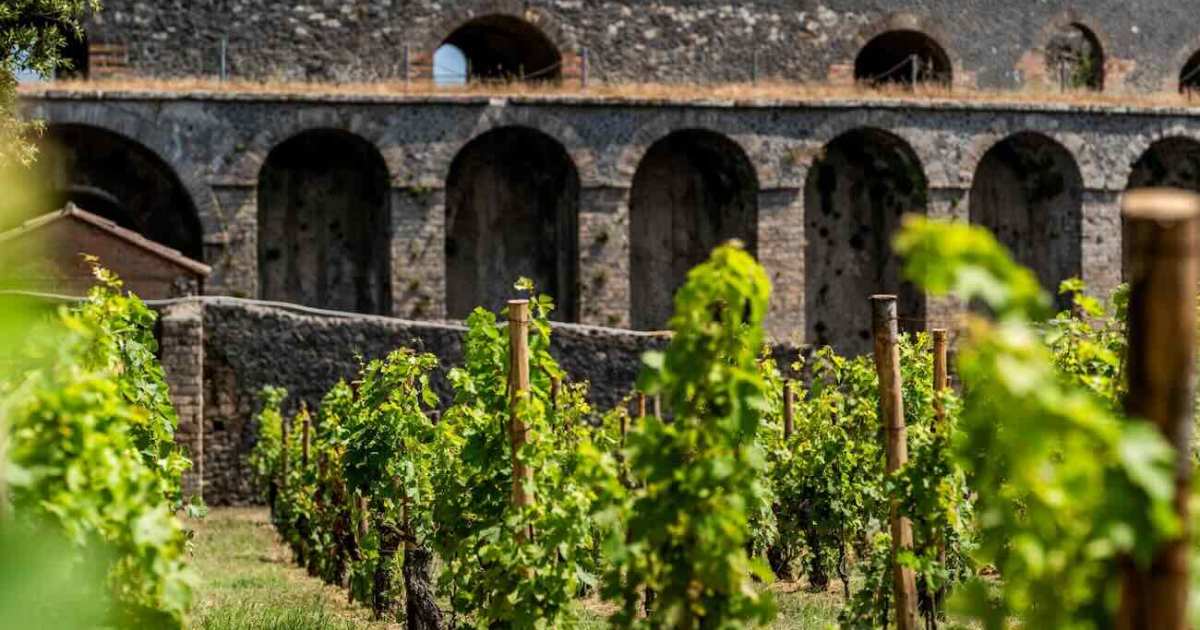 Festa del Vino