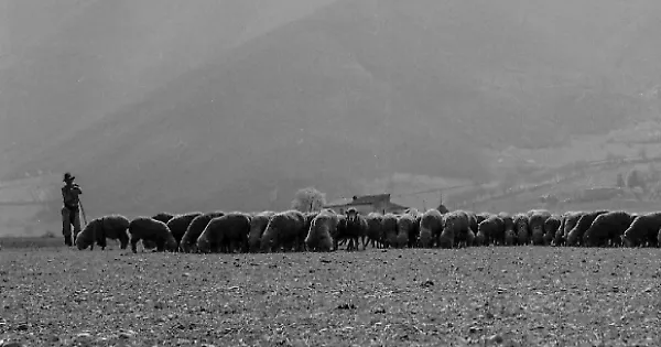 Grandi fotografi per l’Umbria. Mario Giacomelli, Fulvio Roiter e Luigi Spina