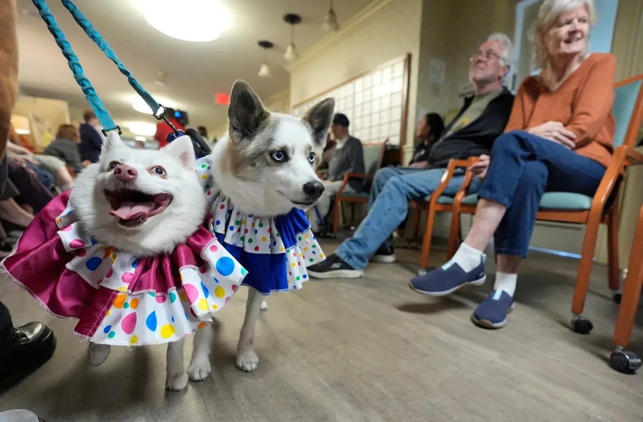 Pet Parade & Blessing