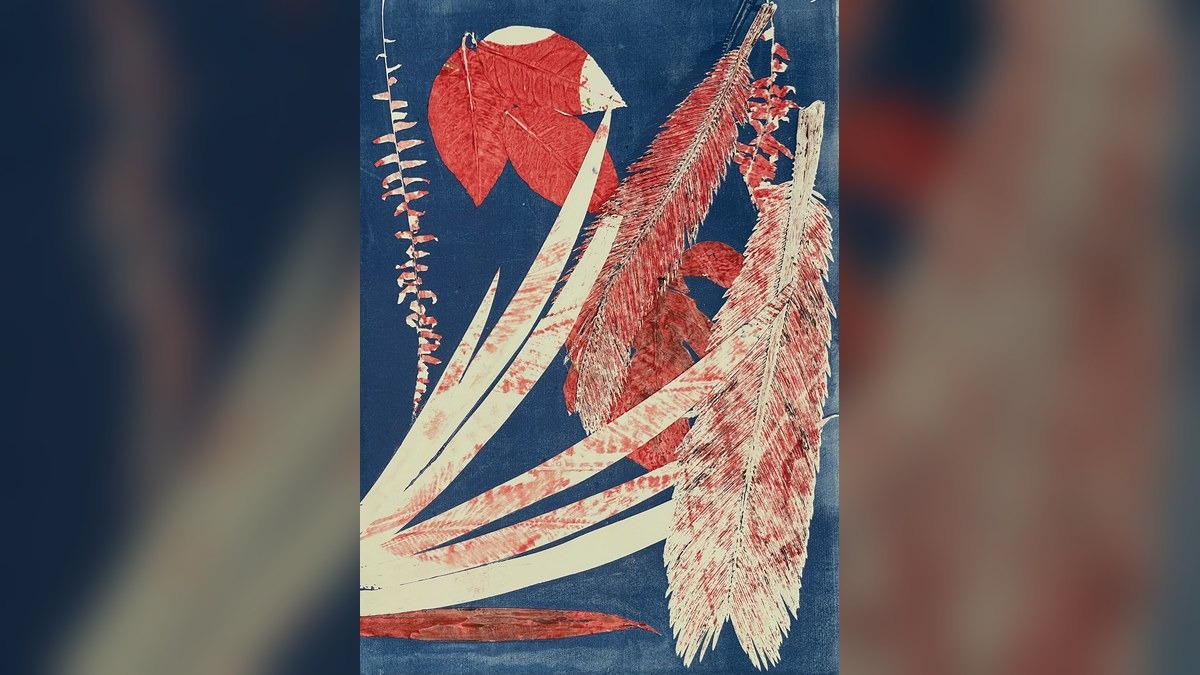 Stefano Mancuso. Monotipi