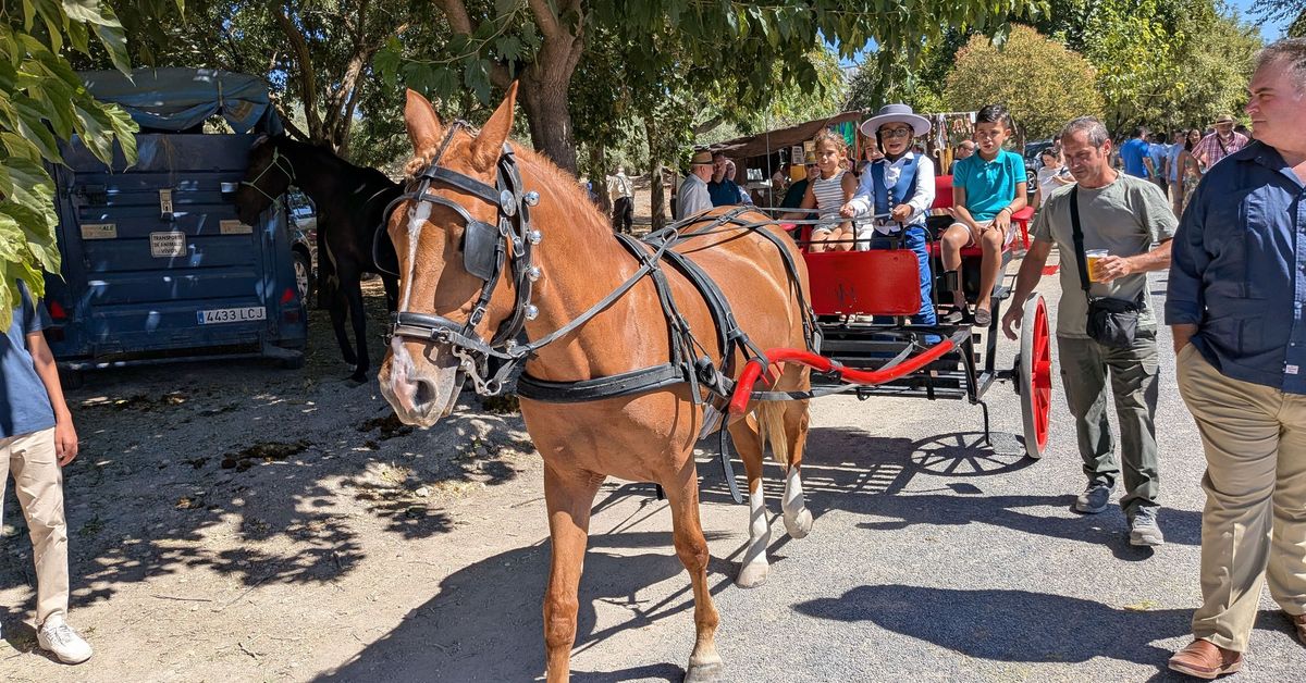 Feria del Ganado de Lucena