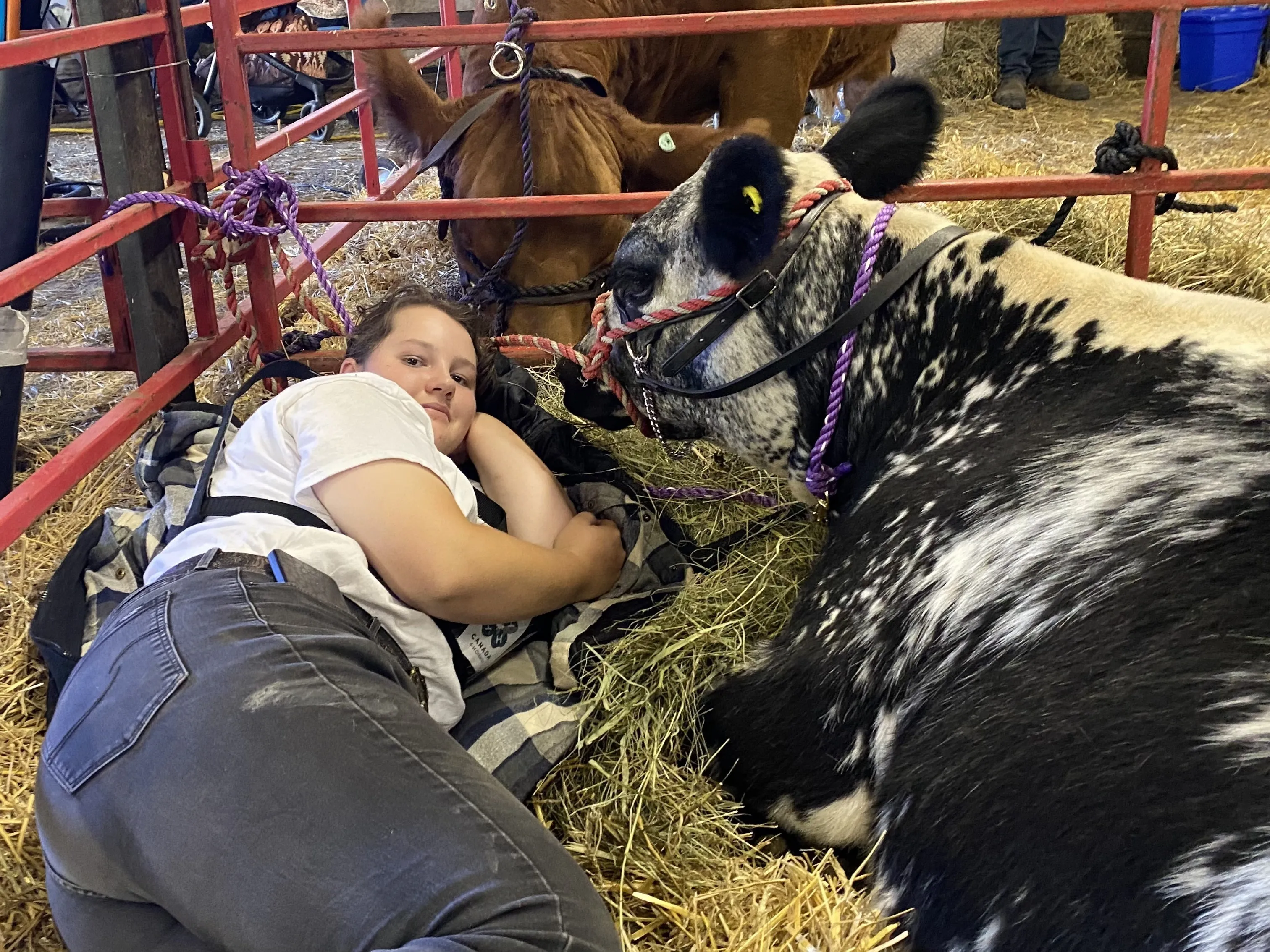 Owen Sound Fall Fair