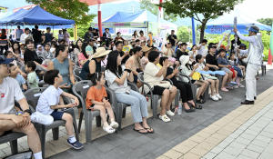 Jangsu Gayaji Festival