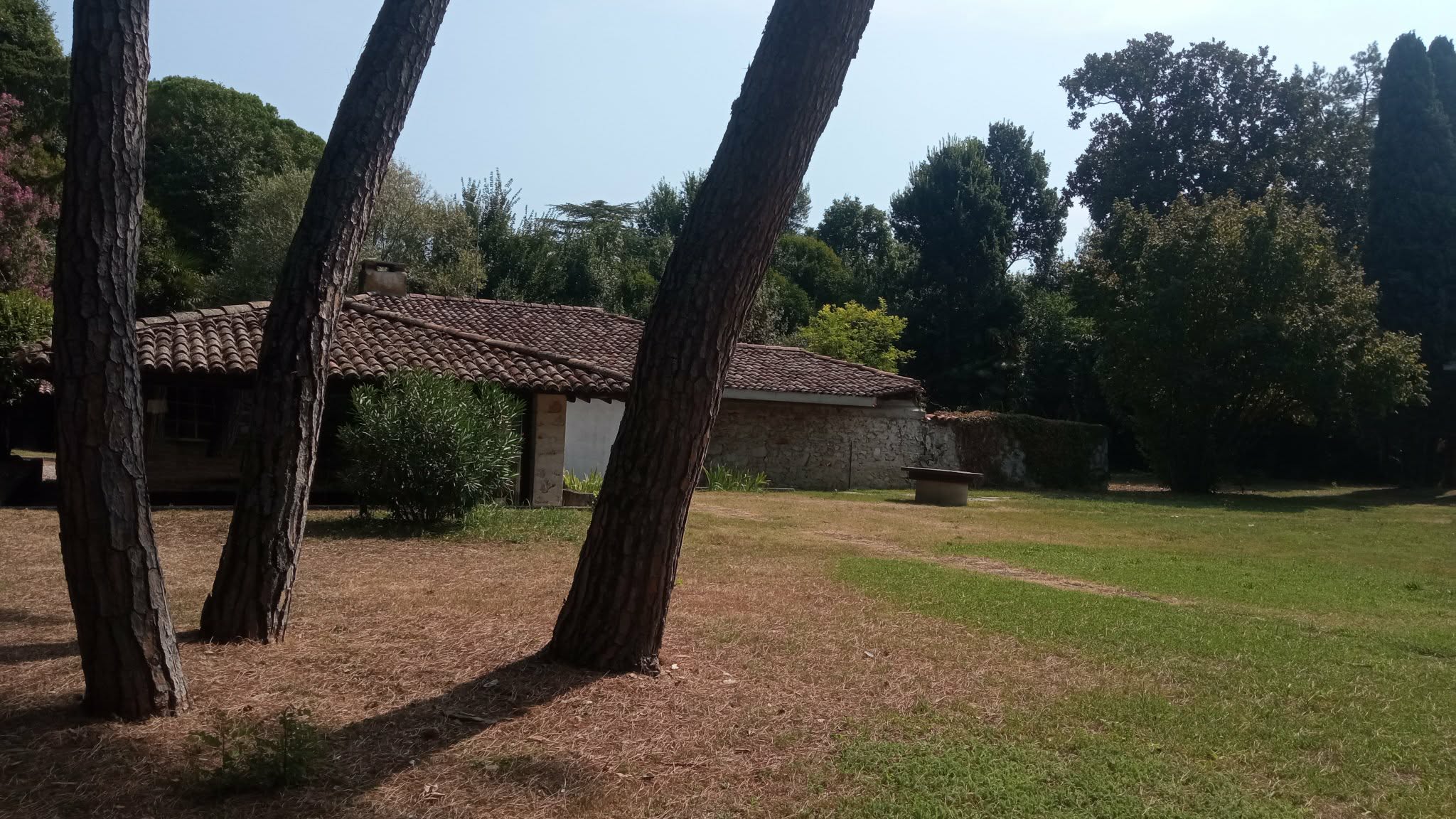 Concerto al buio per Giuseppe Zigaina