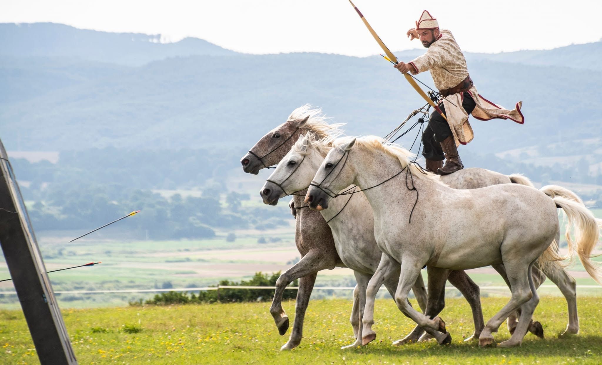 Caii Acasă în Bucovina