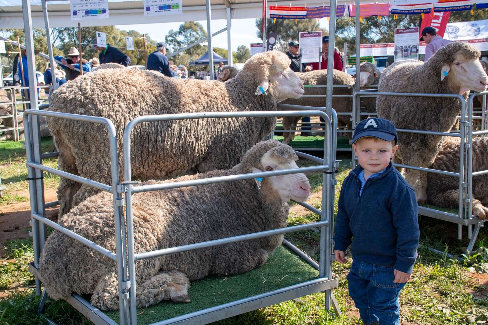 Riverina Sheep and Wool Expo