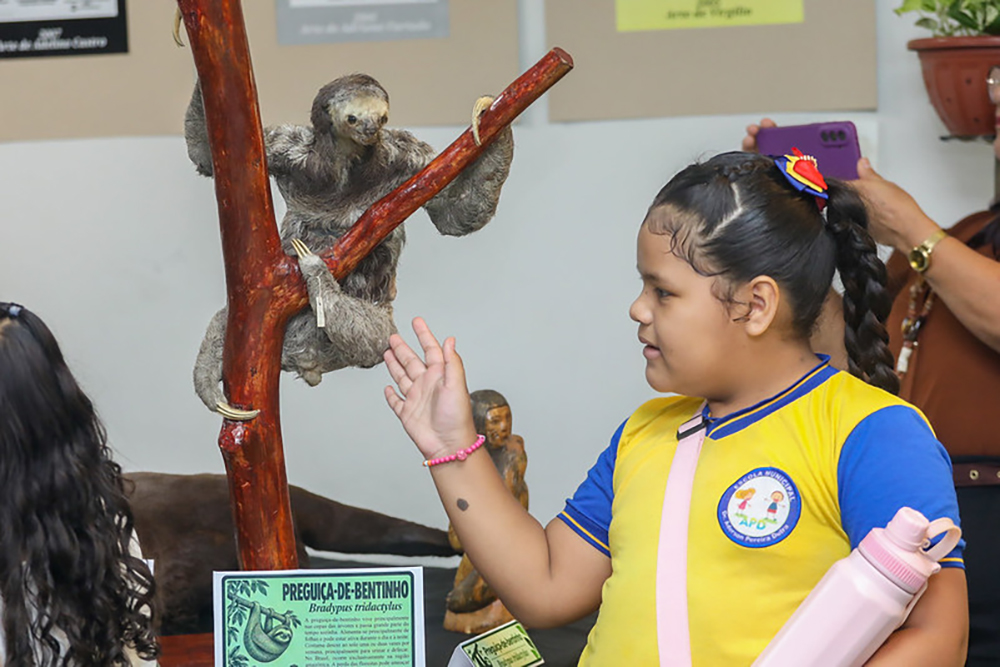 Exposição ‘Animais da Amazônia: Coleções Zoológicas e o Mundo dos Insetos’