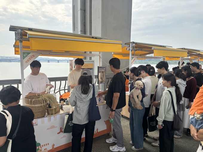 잠수교 뚜벅뚜벅 축제