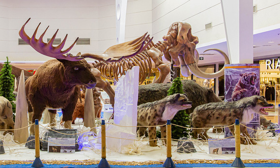 Exposição “Gigantes do Gelo”