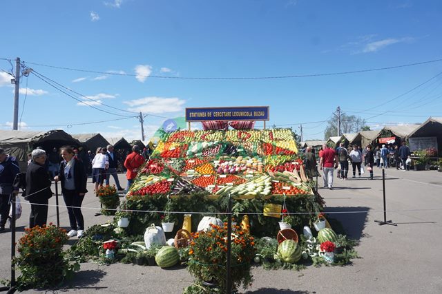 Toamna Buzoiană