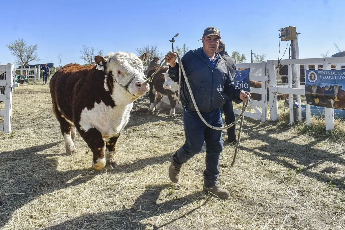 30° Expo Rural de la Comarca Viedma-Patagones