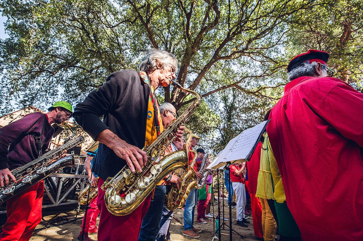 Jazzèbre