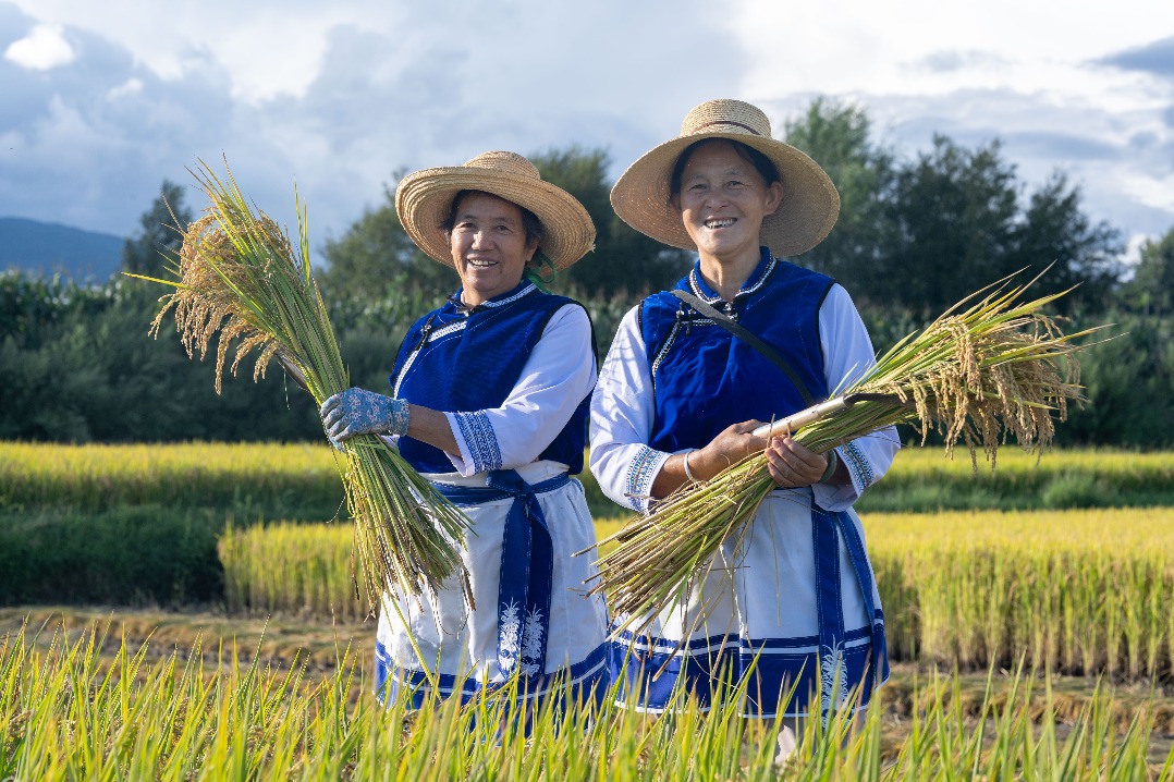Chinese Farmers' Harvest Festival