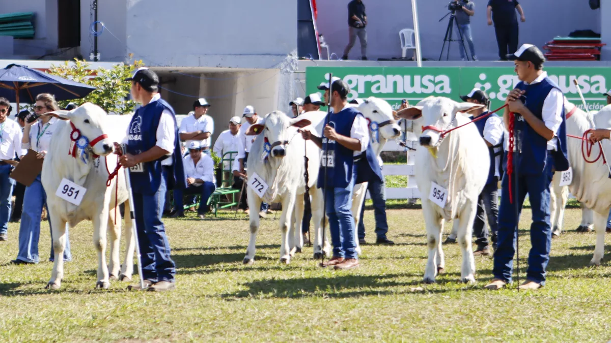Expo Concepción 2026