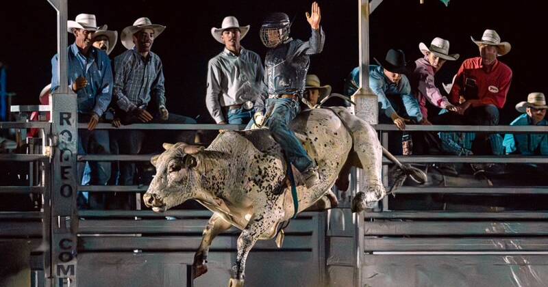Singleton Show Rodeo