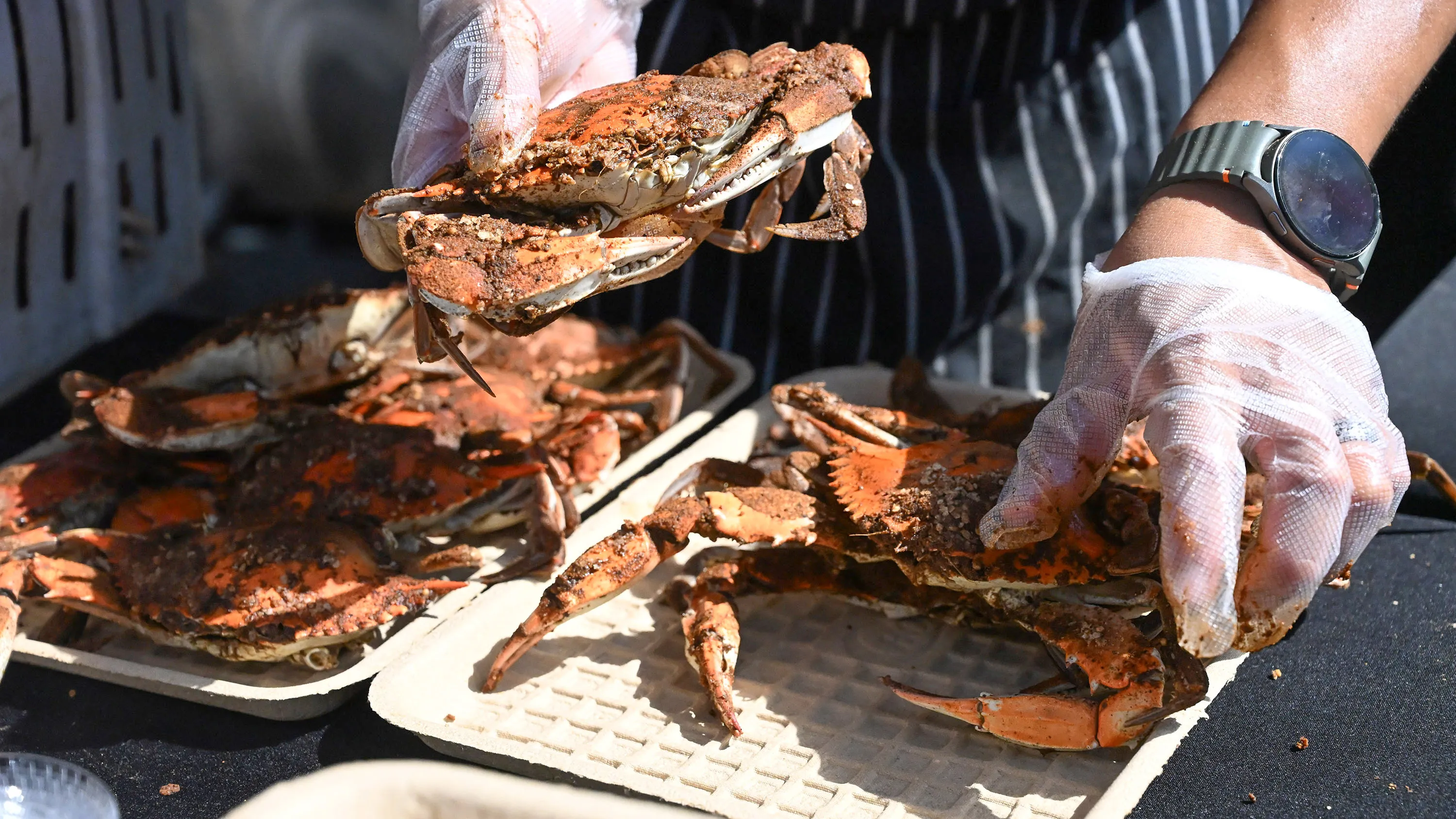 Susquehanna Wine and Seafood Festival