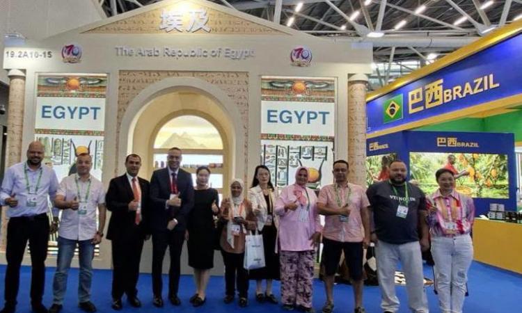 China International Small and Medium Enterprises Fair (CISMEF)