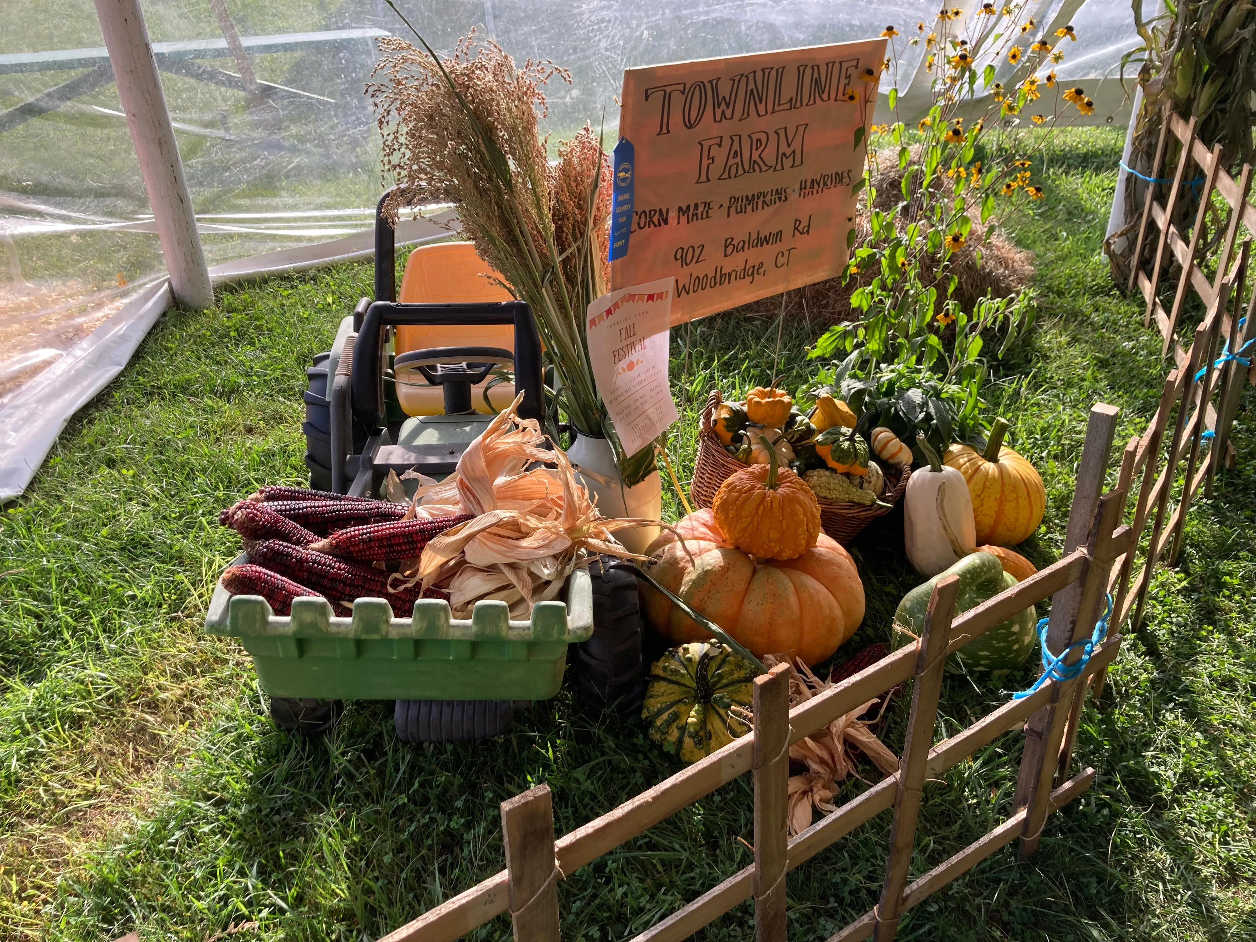 Orange Country Fair