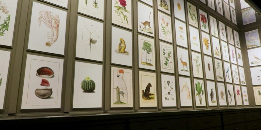 Artists at the Museum