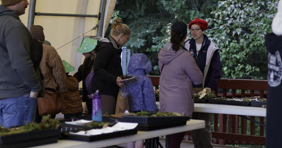 Fairbanks Fungi Festival