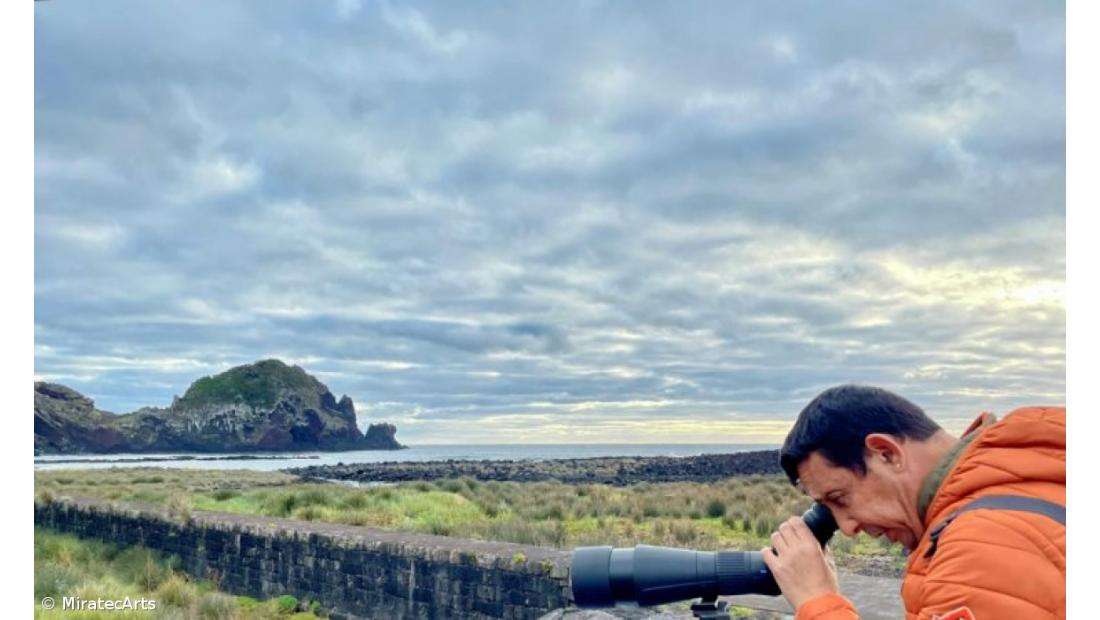 Azores Birdwatching Arts Festival