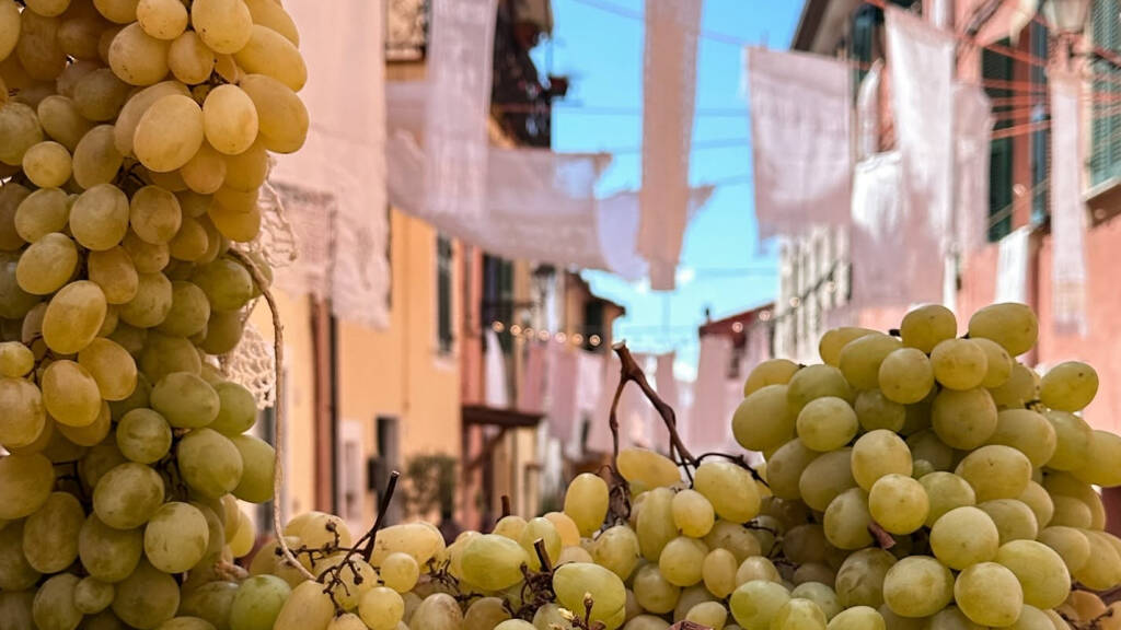 Sagra dell’Uva e del Vino