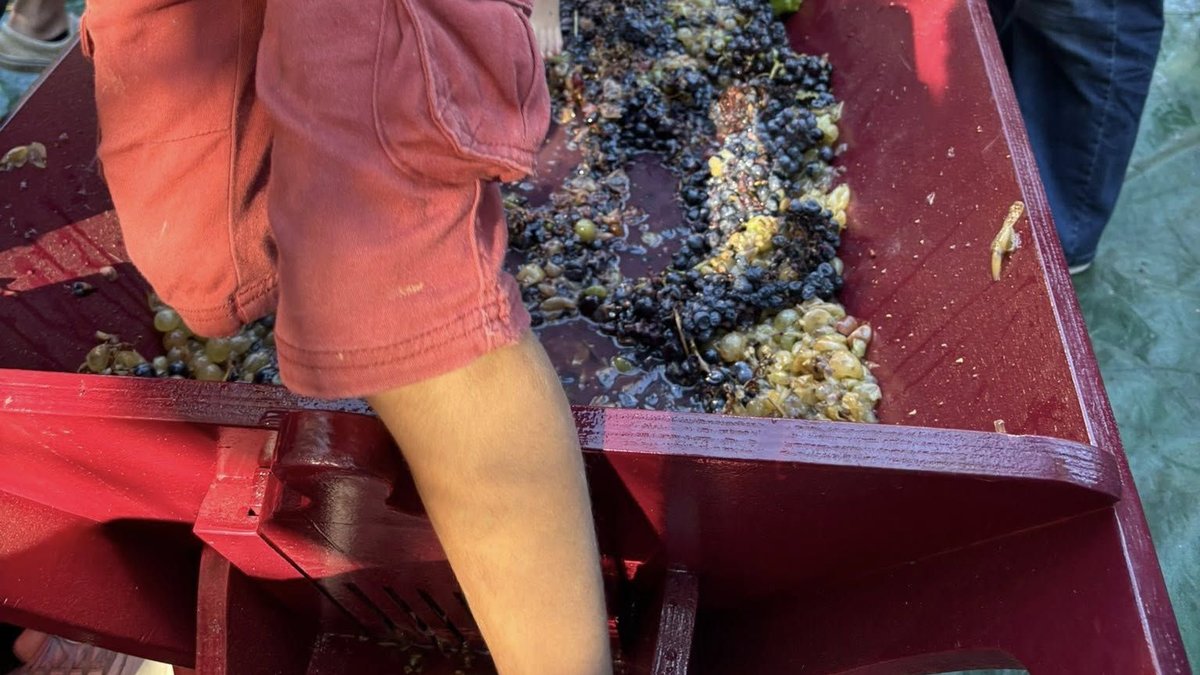 Fête des vendanges