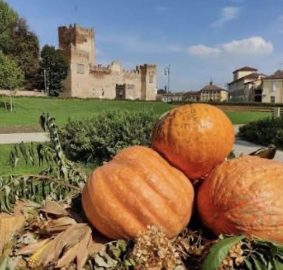 XXXI Fiera della Zucca