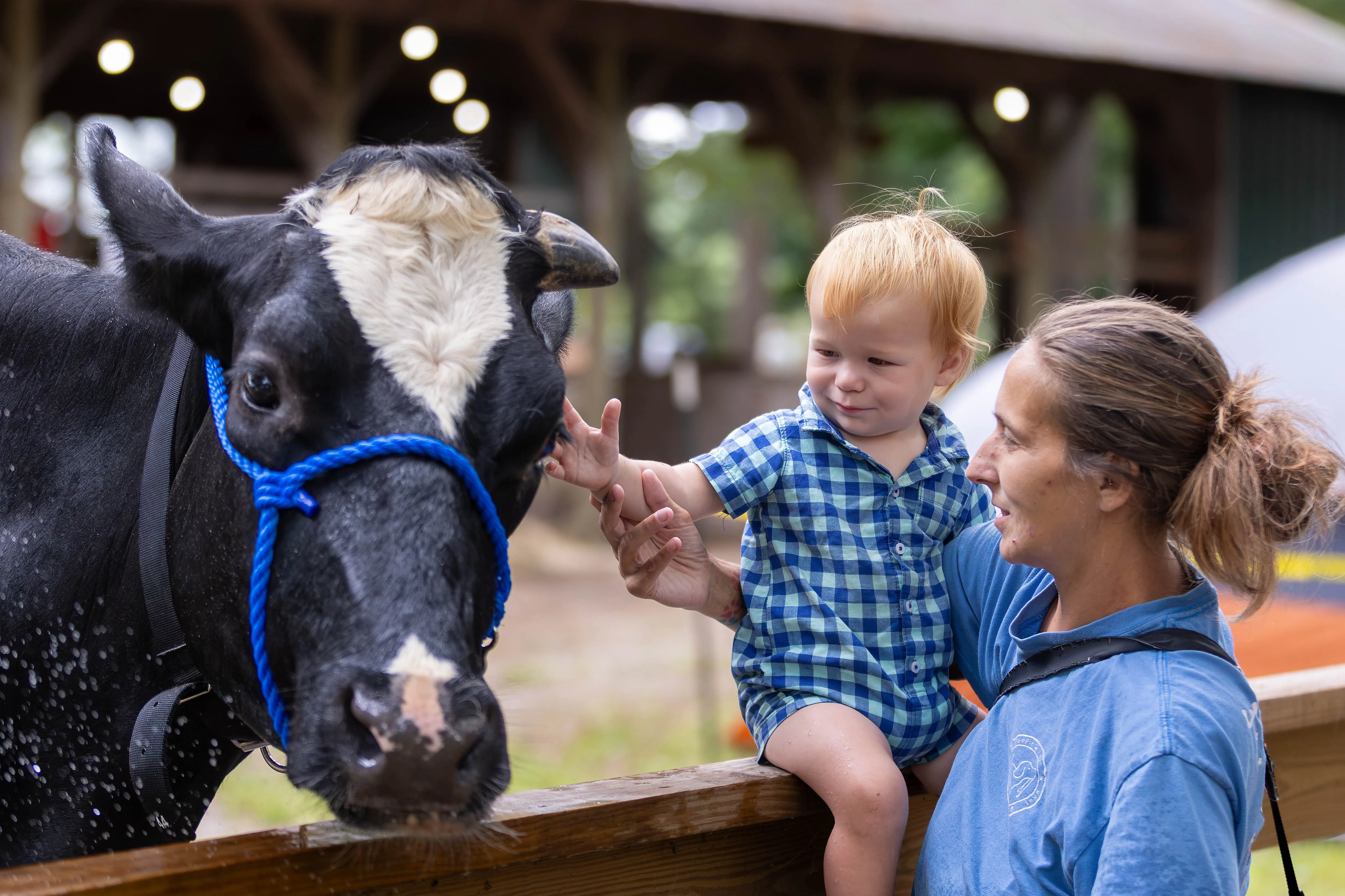 Middlesex County 4-H Fair