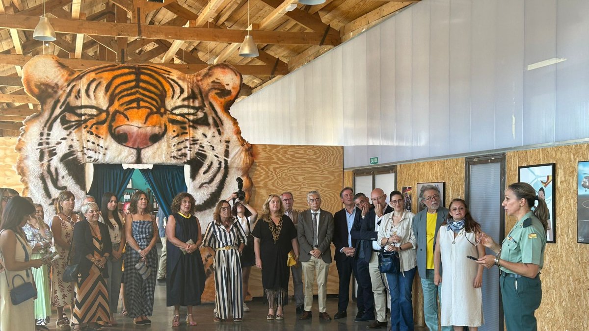 VIII Festival Internacional de Mujeres Creadoras de Castilla y León