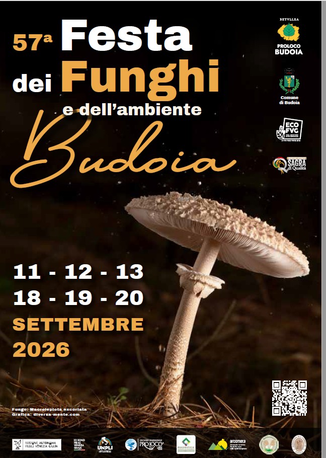 Festa dei Funghi e dell’Ambiente