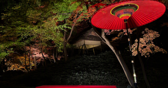 Rikugien Fall Foliage Nighttime Special Appreciation