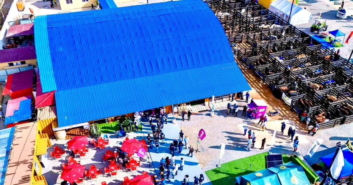 Feira de Exposição Agropecuária e Leilão de Gado