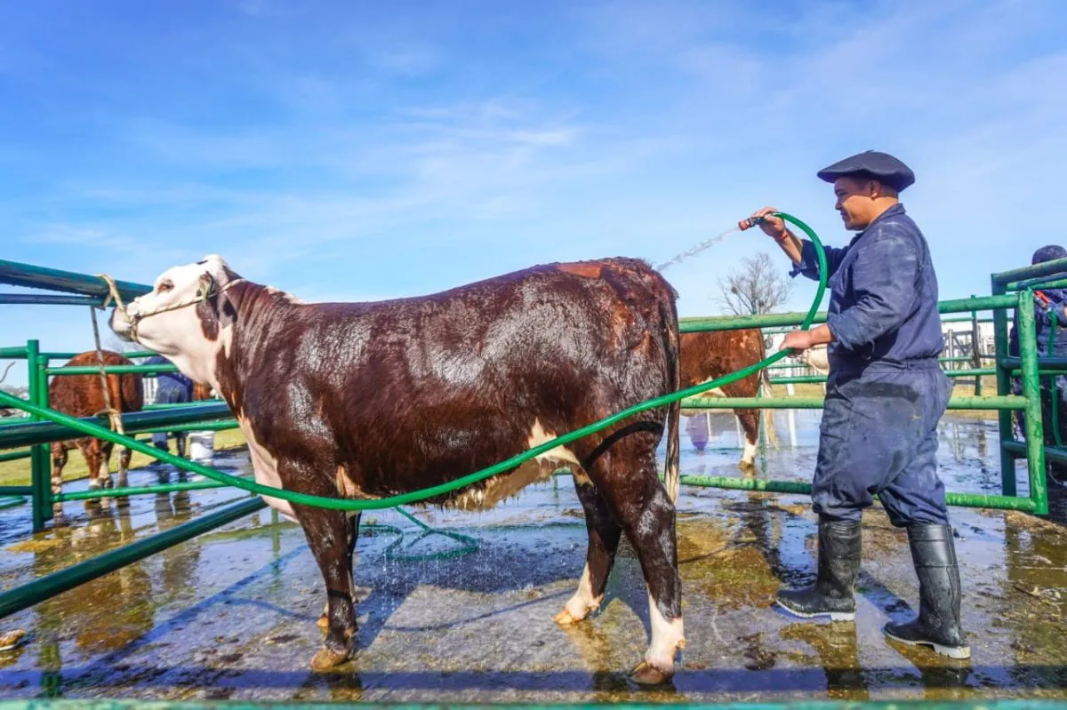 30° Expo Rural de la Comarca